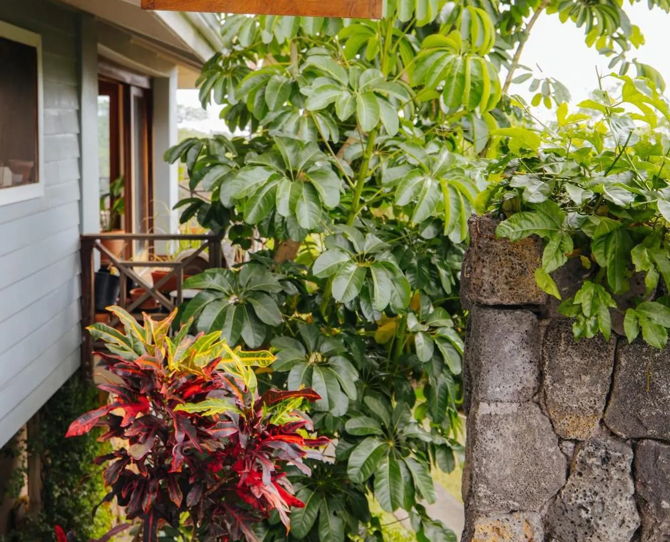 Ferienwohnung The Ohia At The Koi House Kailua-Kona